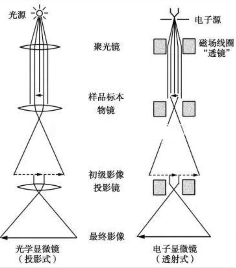 明美和您一起從諾獎看